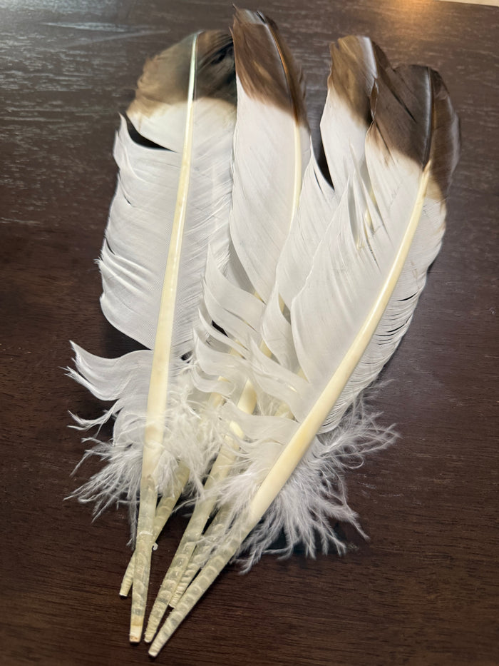 Feathers
