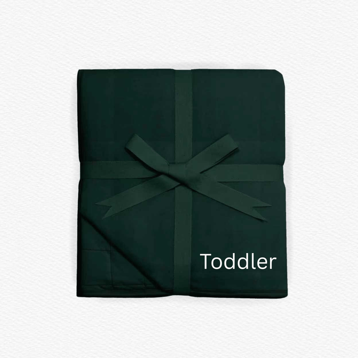 Mountain Mist Solid Toddler Quilted Blanket - Jammie Session
