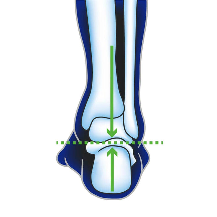Ultimate Performance Accessories Ultimate Performance Advanced Insole With F3D AW23 - Up and Running