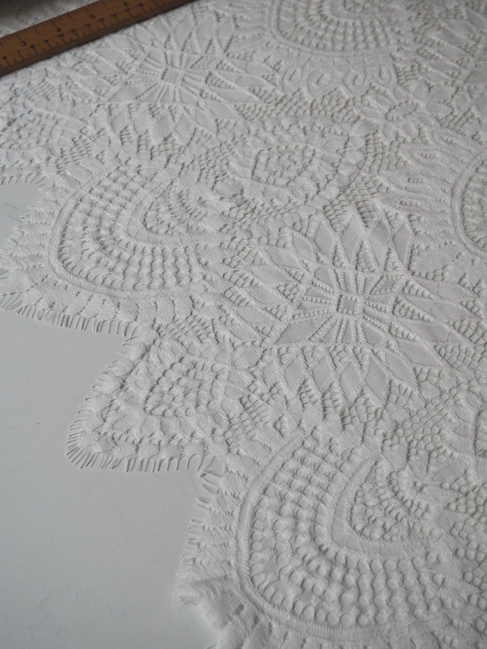 White Beatrice Scallop Lace