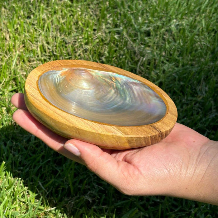 Abalone Shell + Wood Bowl