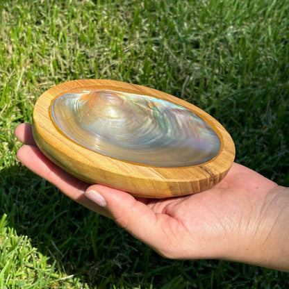 Abalone Shell + Wood Bowl