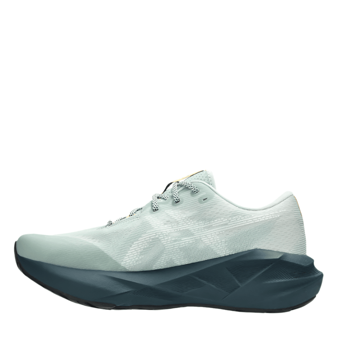 ASICS Shoes ASICS Men's NOVABLAST 5 Running Shoes in Nature Bathing/Lichen Rock AW25 - Up and Running