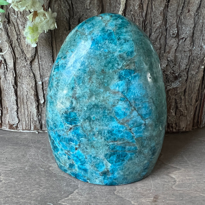 Blue Apatite Free Form