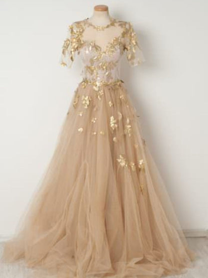 Champagne Prom Dress 2024 Illusion Neck Tulle with Sleeves