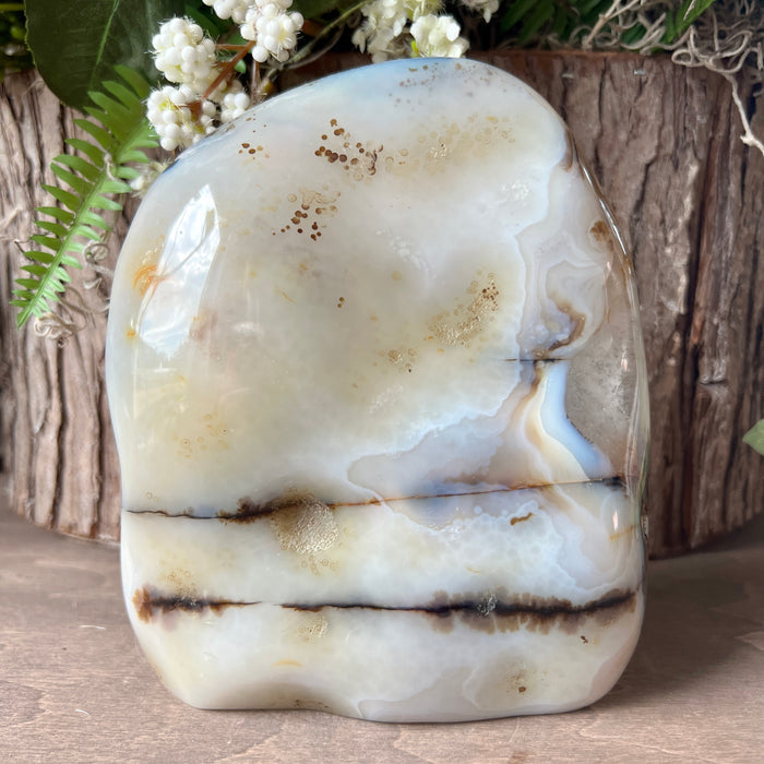 Dendritic Agate Free Form