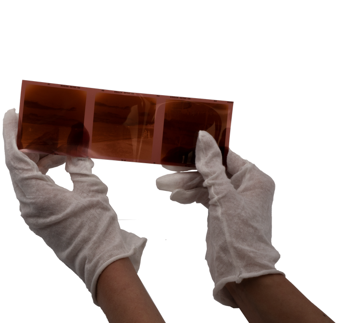 Dotline Cotton Gloves 12 Pairs