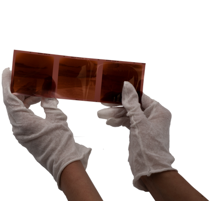 Dotline Cotton Gloves 12 Pairs