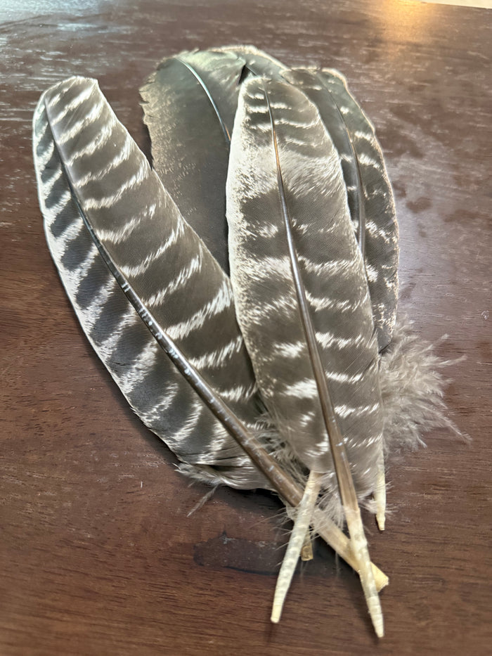Feathers