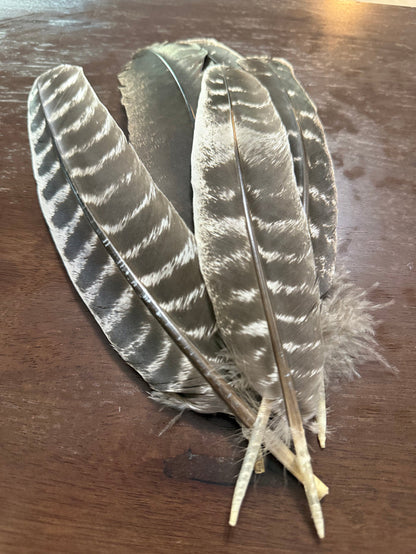 Feathers