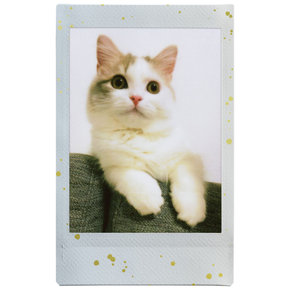 FUJIFILM INSTAX MINI Soft Glitter  (10 Exposures)
