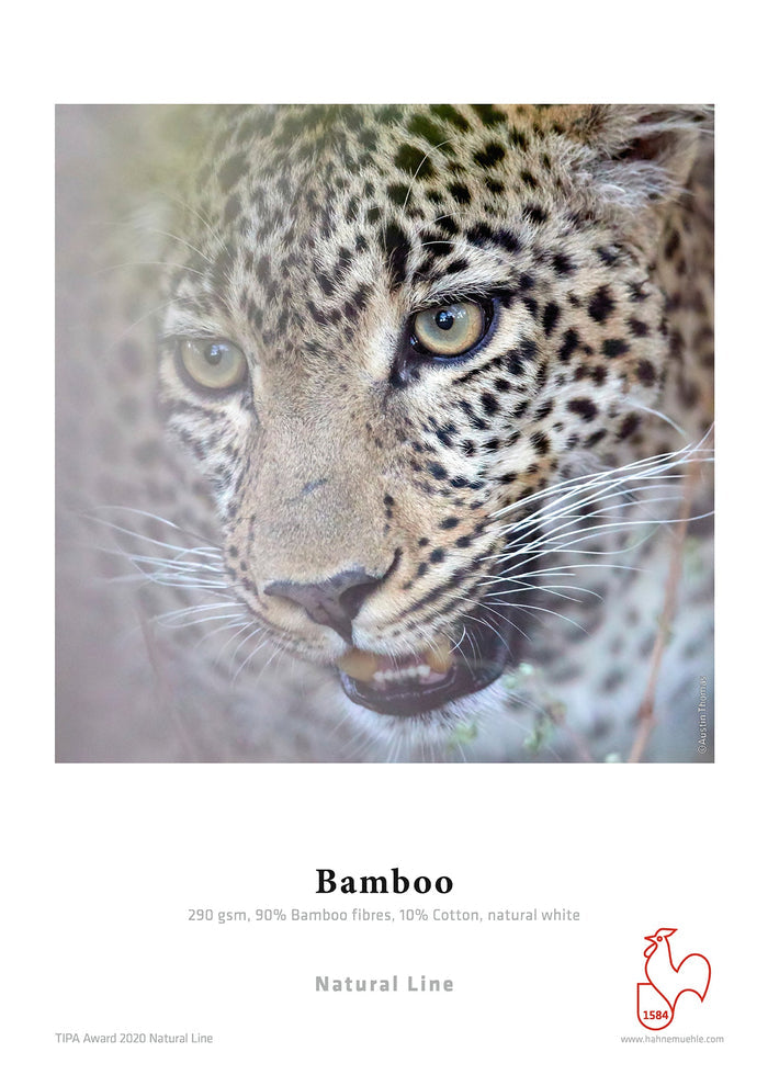 Hahnemuhle FineArt Bamboo 290