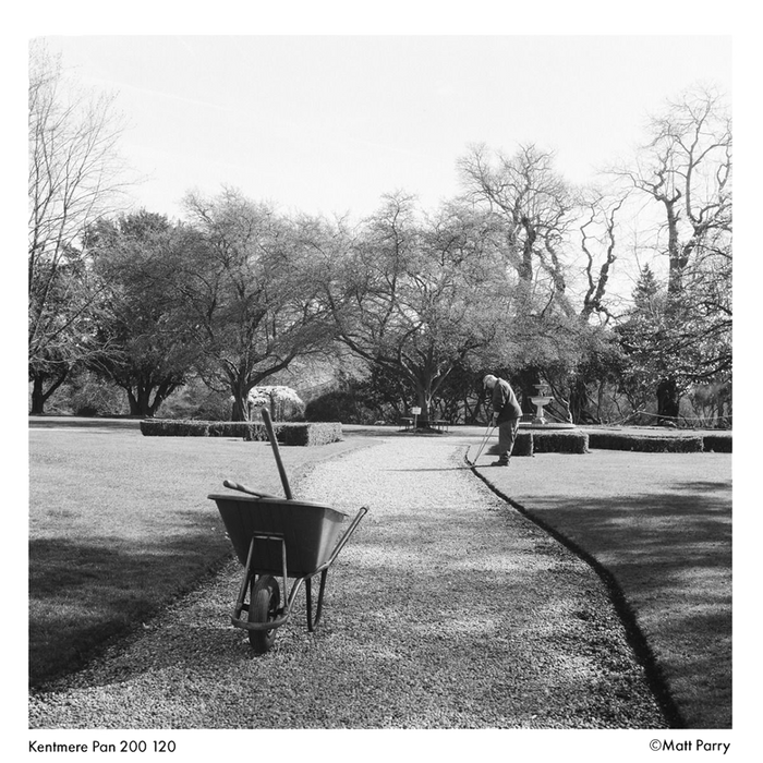 KENTMERE 200 Black & White Film - 120 Format