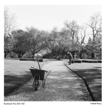 KENTMERE 200 Black & White Film - 120 Format