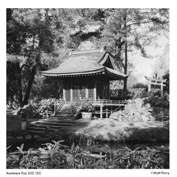 KENTMERE 200 Black & White Film - 120 Format