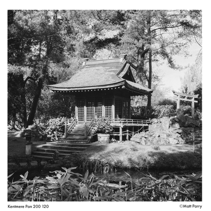 KENTMERE 200 Black & White Film - 120 Format