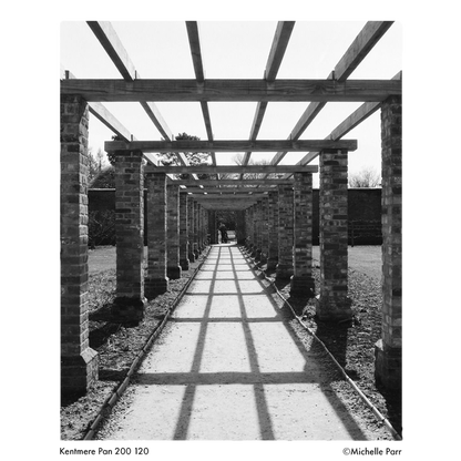 KENTMERE 200 Black & White Film - 120 Format