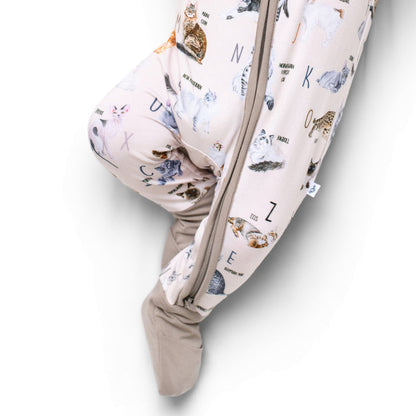 Kitties from A to Z‚Äôs Romper - Jammie Session