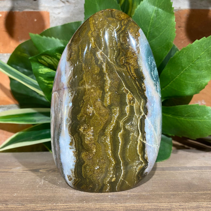 Ocean Jasper Free Form