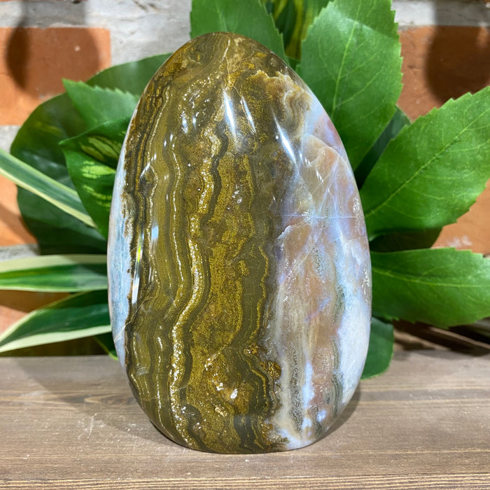 Ocean Jasper Free Form