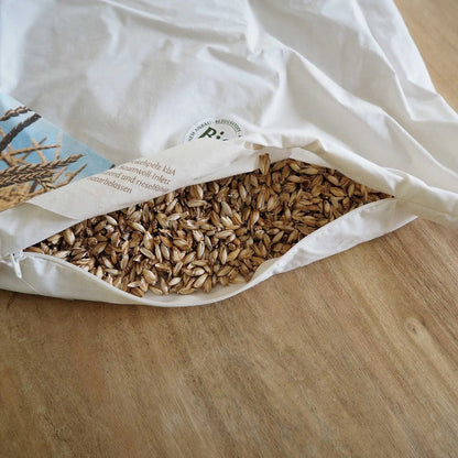 Oreiller épeautre & coton bio Sassoupi - 40x60cm