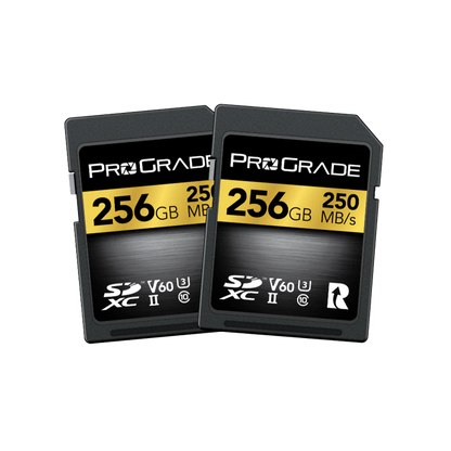 ProGrade Digital SDXC UHS-II V60 Memory Card