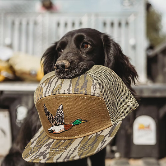 ROOST BOTTOMLAND CAMO HAT