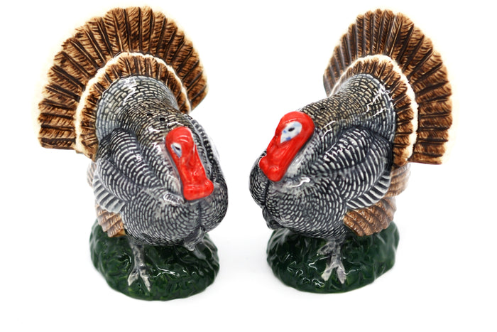 Turkey Salt & Pepper Set
