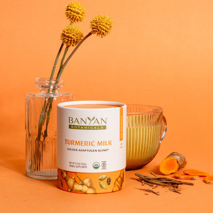 Turmeric Milk ~ Golden Milk