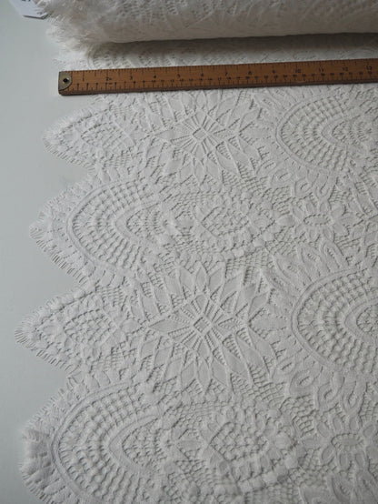 White Beatrice Scallop Lace