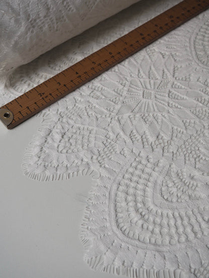 White Beatrice Scallop Lace
