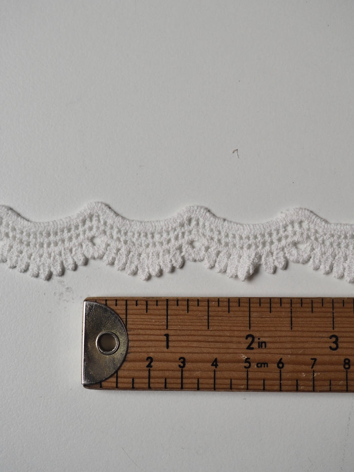 White Cotton Leaf Scallop Lace Trim 20mm