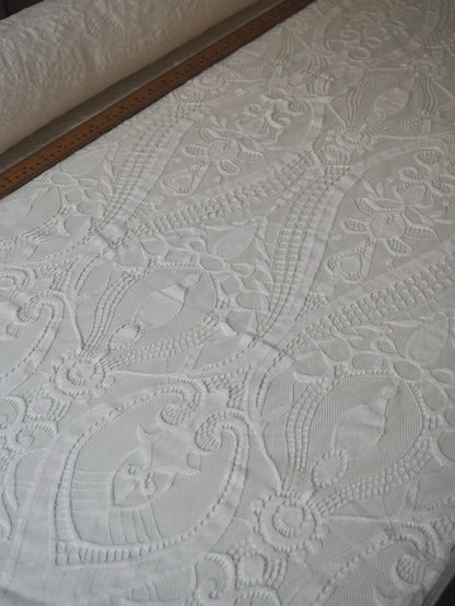 White Georgia Scallop Lace