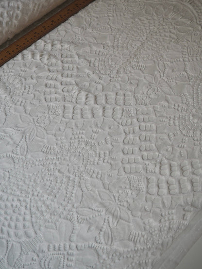 White Victoria Scallop Lace