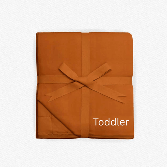 Wild One Solid Toddler Quilted Blanket - Jammie Session